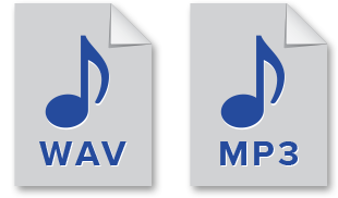 WAV and MP3 file type format